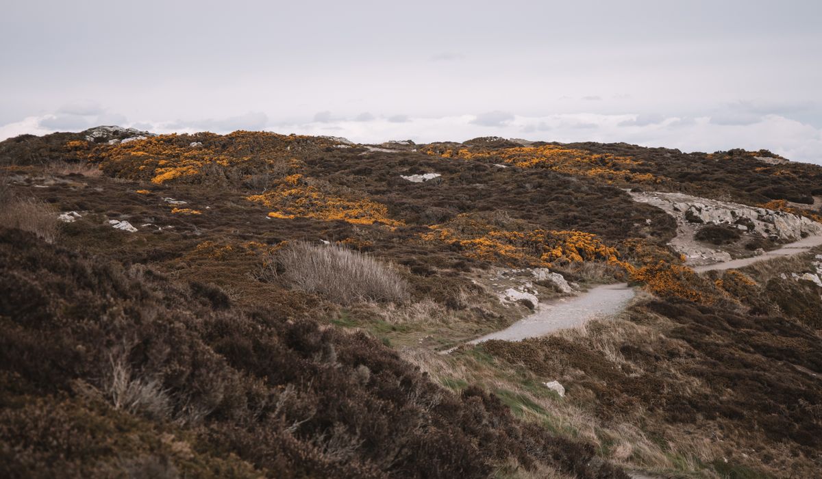 Choosing Low-Impact Footpaths for Quiet Weekday Walks