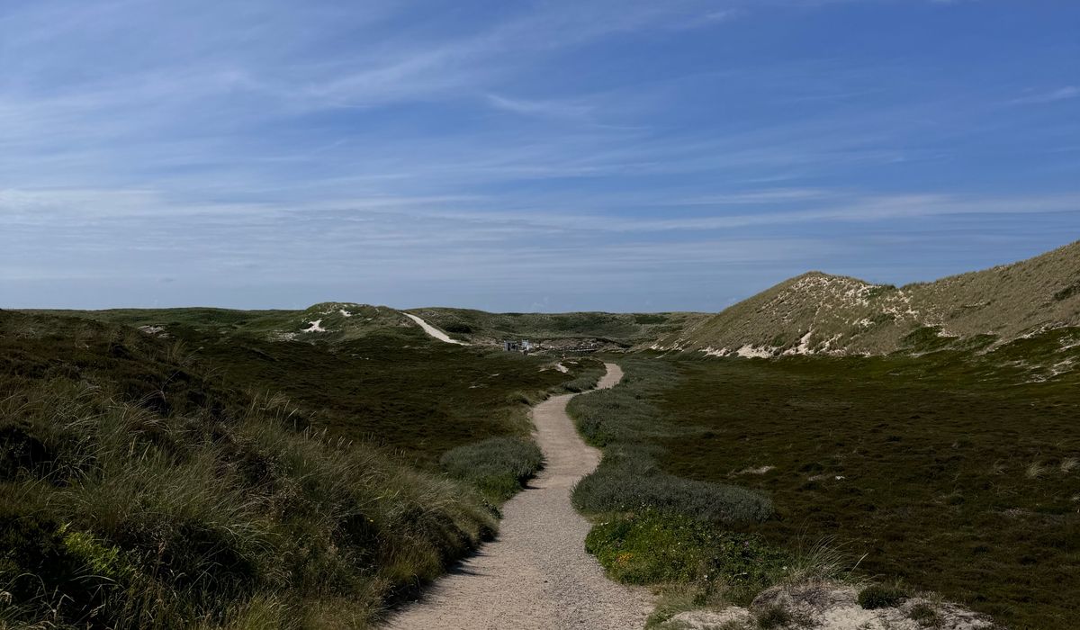 Planning a Safe Moorland Walk in Changeable Weather