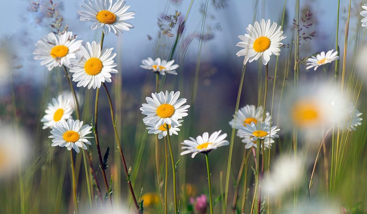Recognising Signs of Changing Weather on Hills